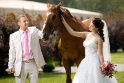 属马的人命中有两段婚姻？